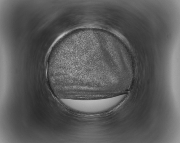 X0000084041224200703092024