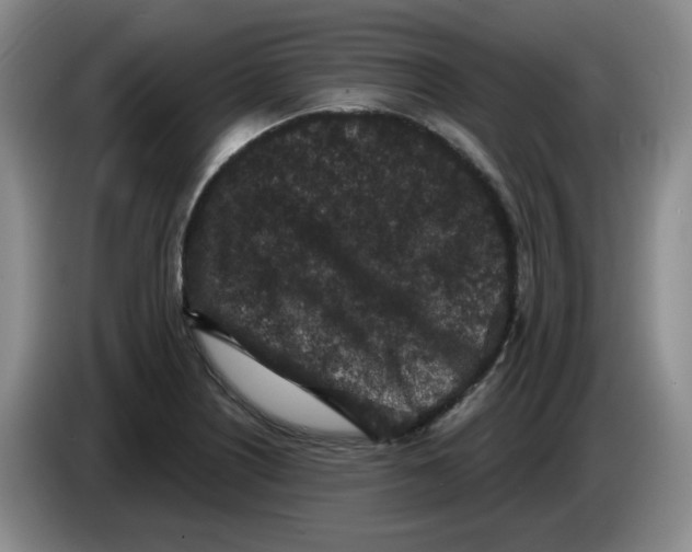 X0000084041226200703092024