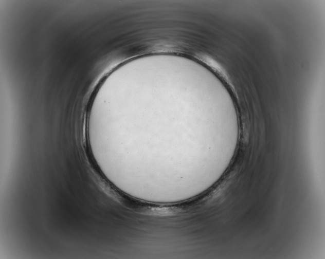 X0000084041227200703092024