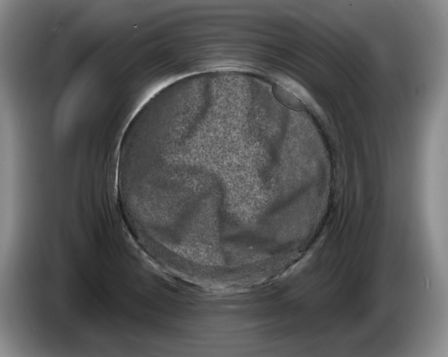 X0000084041228200703092024