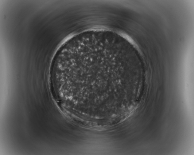 X0000084041229200703092024