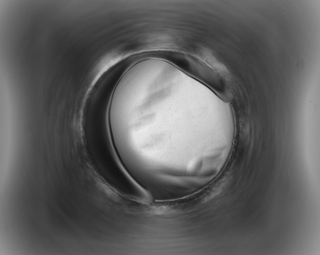 X0000084041230200703092024