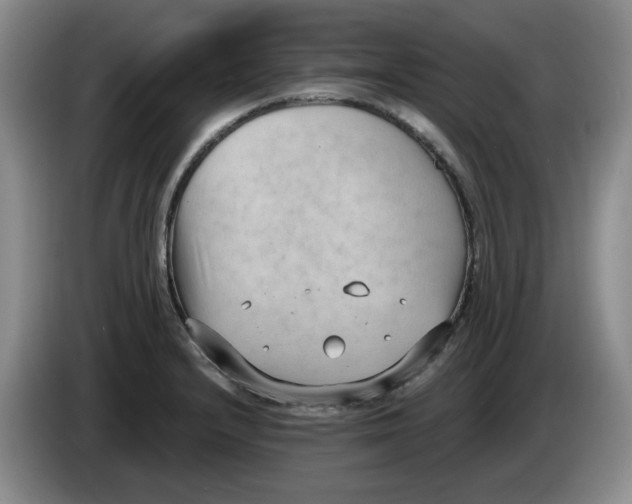 X0000084041232200703092024