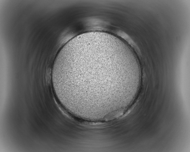 X0000084041233200703092024