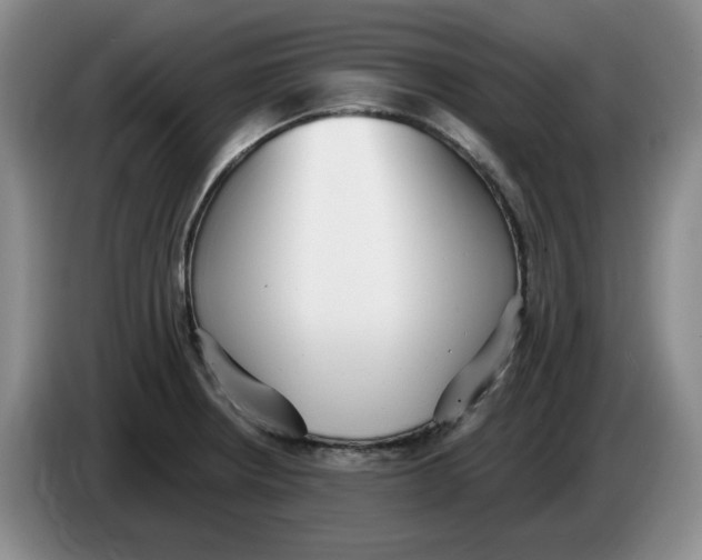 X0000084041234200703092024