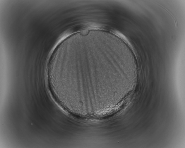 X0000084041235200703092024