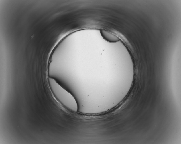 X0000084041236200703092024