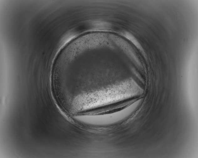 X0000084041237200703092025