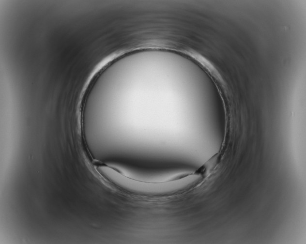 X0000084041238200703092025