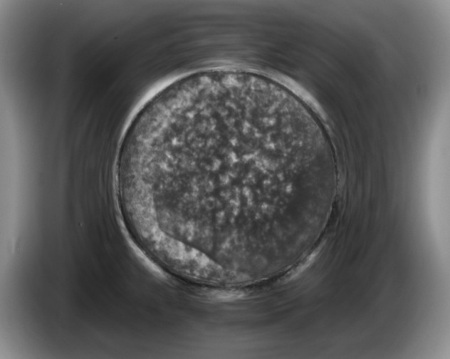 X0000084041239200703092025