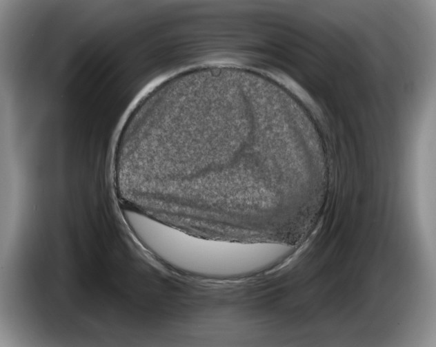 X0000084041240200703092025