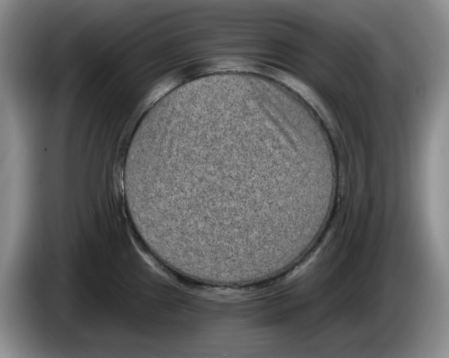 X0000084041241200703092025