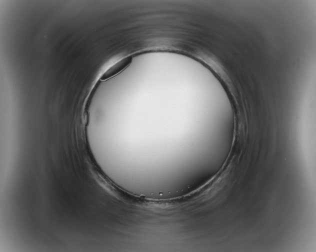 X0000084041242200703092025