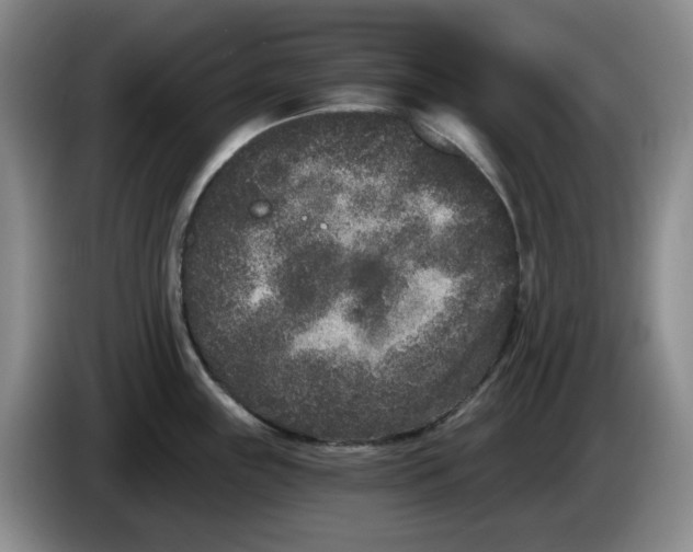 X0000084041243200703092025