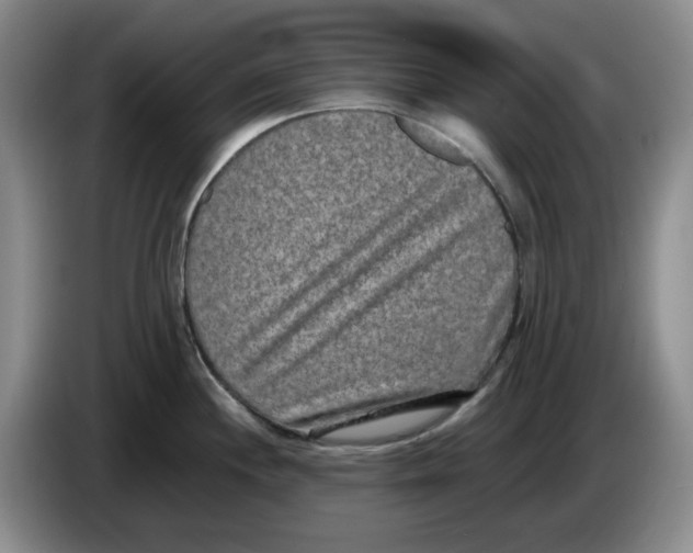 X0000084041244200703092025