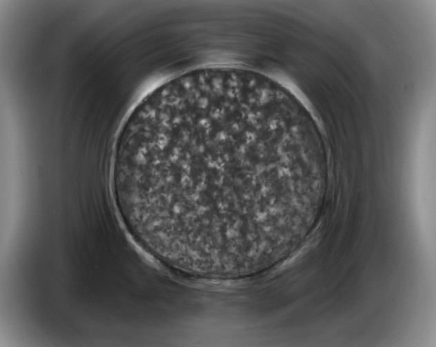 X0000084041245200703092025