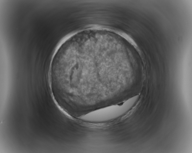 X0000084041247200703092025