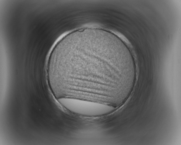 X0000084041248200703092025