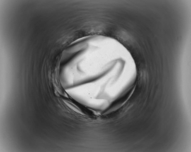 X0000084041250200703092024