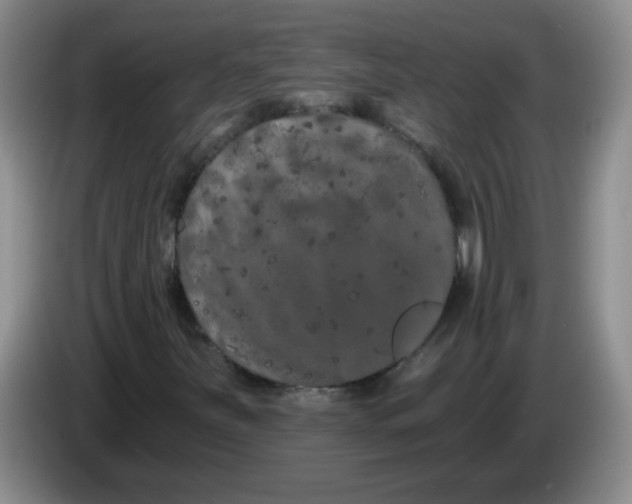 X0000084041251200703092024