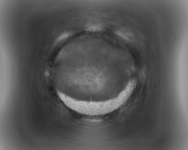 X0000084041254200703092024