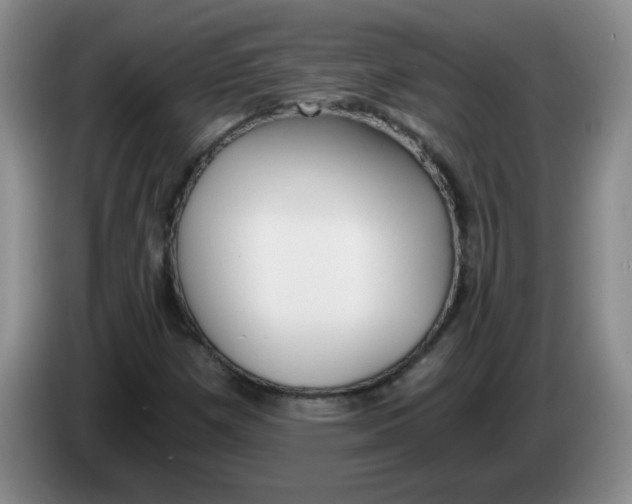 X0000084041257200703092024