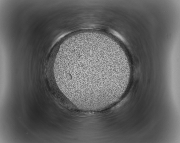 X0000084041259200703092024