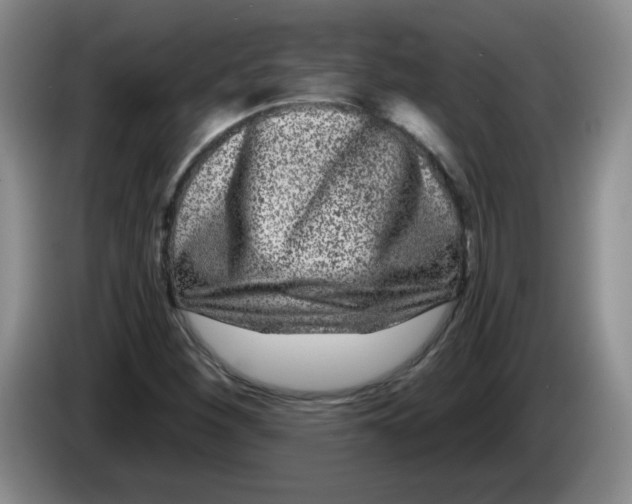 X0000084041260200703092024