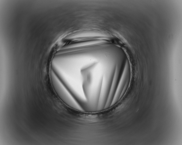 X0000084041261200703092024