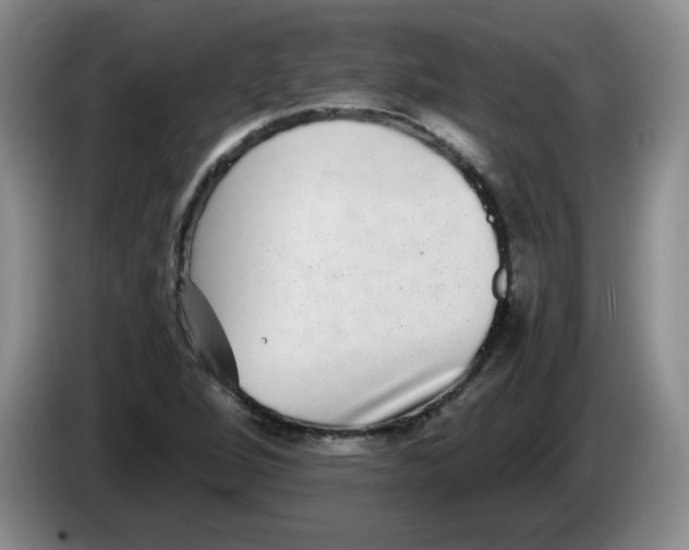 X0000084041264200703092024