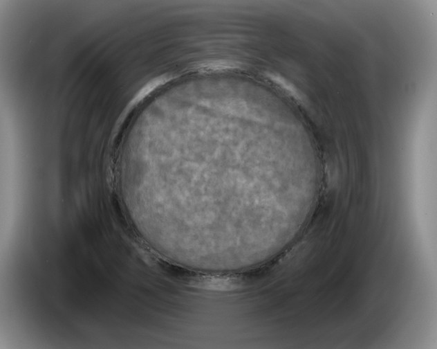 X0000084041266200703092024