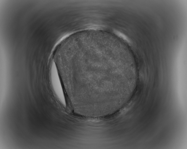 X0000084041267200703092024