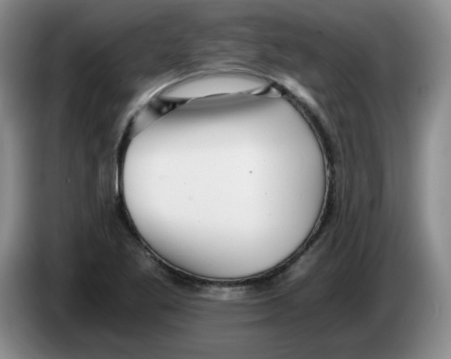 X0000084041269200703092024