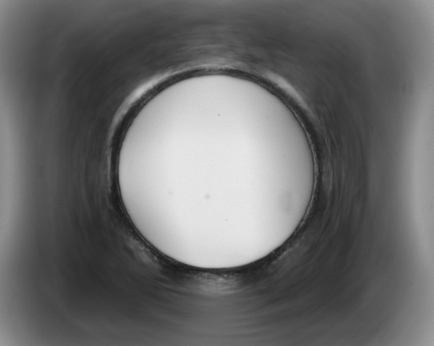 X0000084041270200703092024