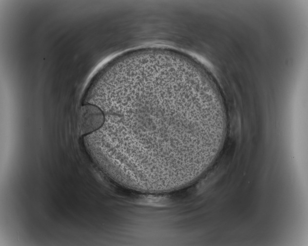 X0000084041271200703092024