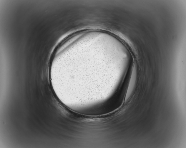 X0000084041272200703092024