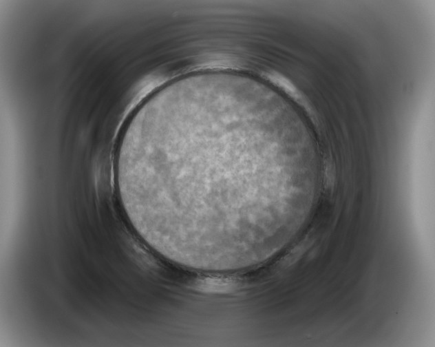 X0000084041274200703092024