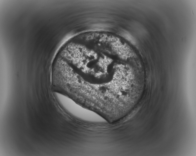 X0000084041275200703092024