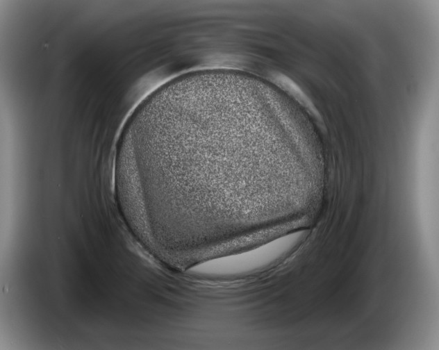 X0000084041276200703092024