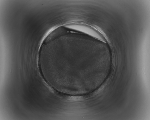 X0000084041277200703092024