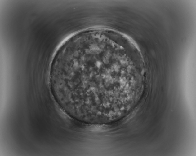 X0000084041279200703092024