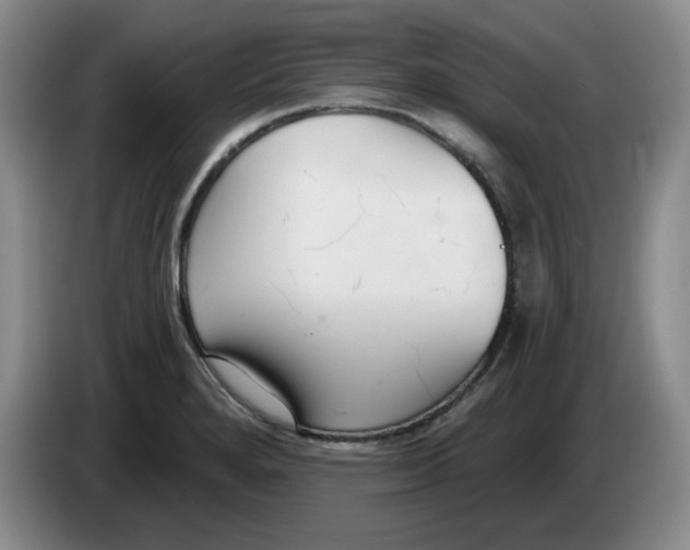 X0000084041280200703092024