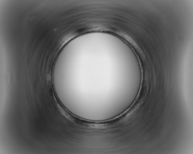 X0000084041281200703092024