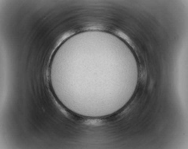 X0000084041282200703092024