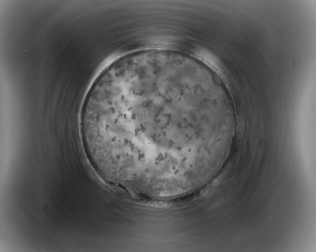 X0000084041283200703092024