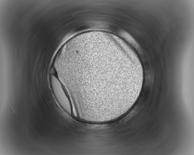 X0000084041284200703092024