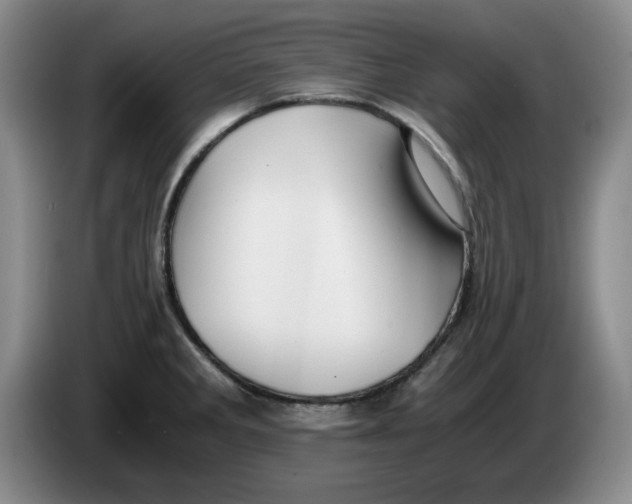 X0000084041285200703092024