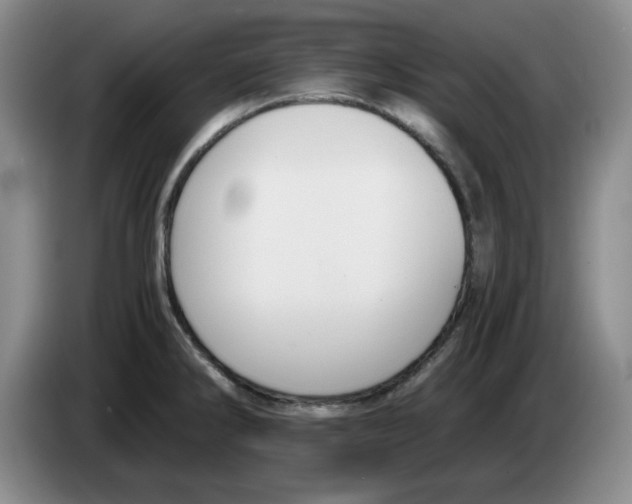 X0000084041286200703092024