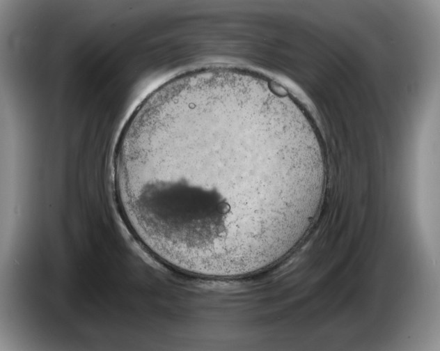 X0000084041287200703092024