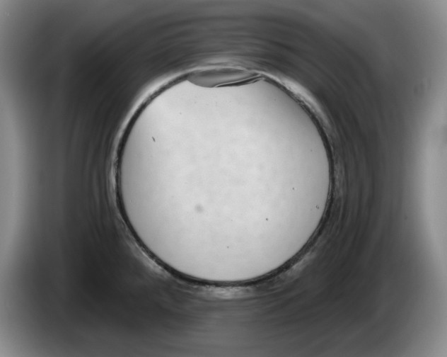 X0000084041288200703092023